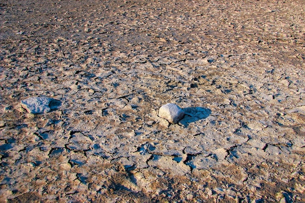 Dos piedras se encuentran en un suelo árido, agrietado y seco. Grietas y suciedad. Estepa sin vida. Enfoque selectivo en el centro.