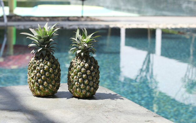 Dos piñas maduras en el borde de la piscina con agua. Concepto de vacaciones de verano en países tropicales. De cerca. Copia espacio