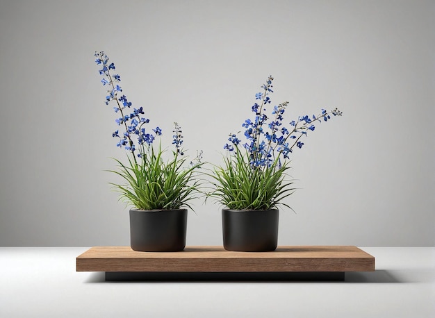 dos plantas en maceta en un estante de madera