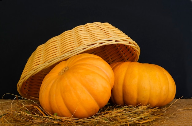 Foto dos pumpkinsinon naranja con textura grande con cesta y heno sobre un fondo oscuro ... cosecha de otoño. estilo rústico