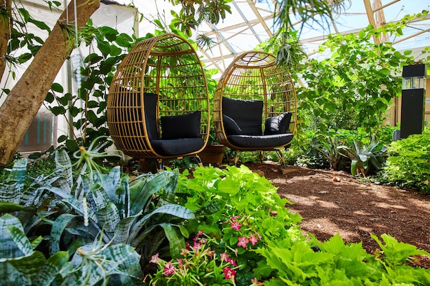 Dos sillas sentadas pacíficamente en exuberantes jardines de invernadero