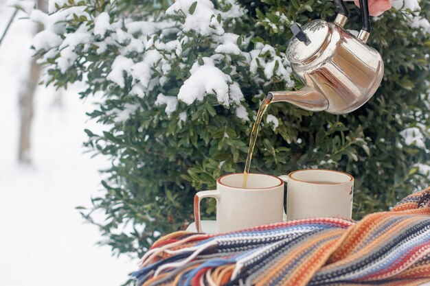 Dos tazas de té en una mesa en el jardín de invierno