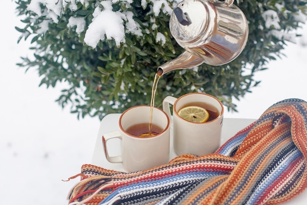 Dos tazas de té en una mesa en el jardín de invierno