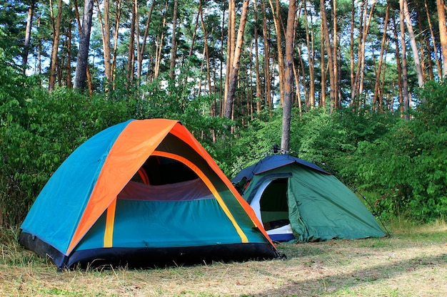 dos tiendas de campaña en un pinar en verano, camping en la naturaleza, tienda de campaña en la naturaleza, tienda doble, triple