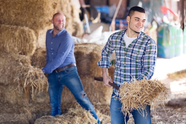 Dos trabajadores agrícolas en henil