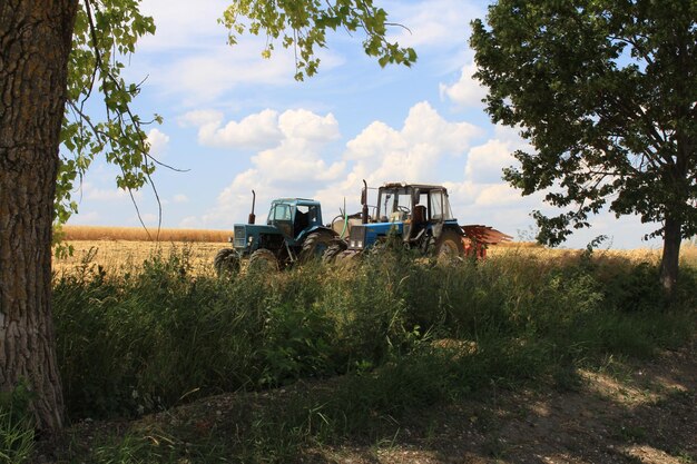 Dos tractores en un campo