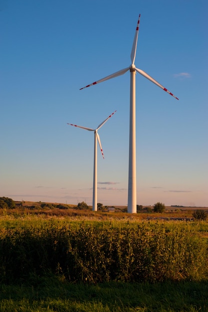 Dos turbinas eólicas en el campo con la luz del atardecer de cielo azul, energía verde ecológica