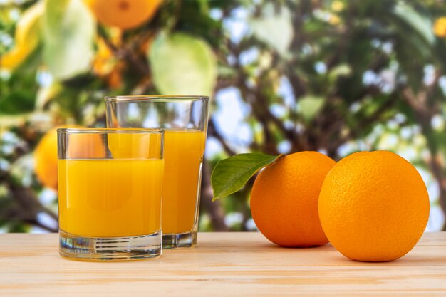 Dos vasos de jugo de naranja en la escena de la naturaleza