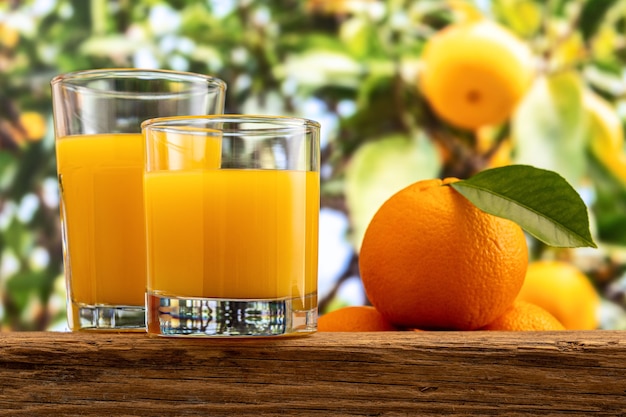 Dos vasos de jugo de naranja en la naturaleza.