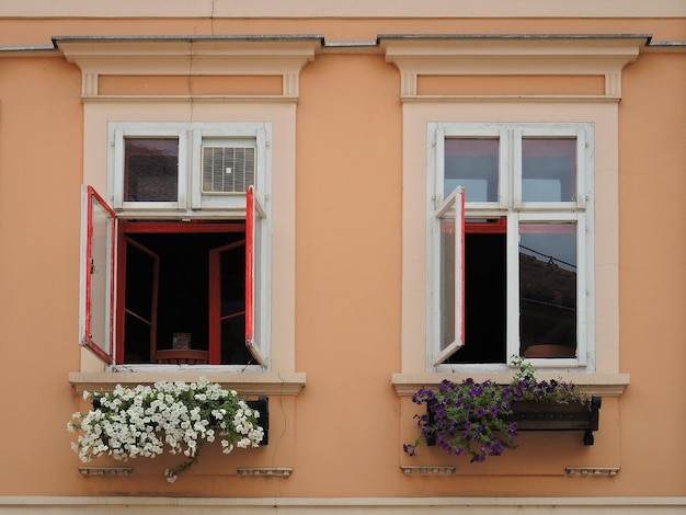 Foto dos ventanas abiertas con flores abajo