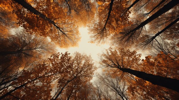 El dosel de un bosque durante el otoño con hojas Vista inferior IA generativa