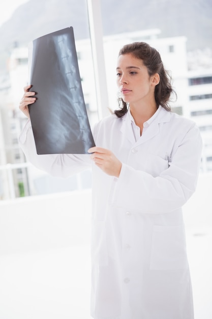 Doutor Brunette analisando resultados de raio X