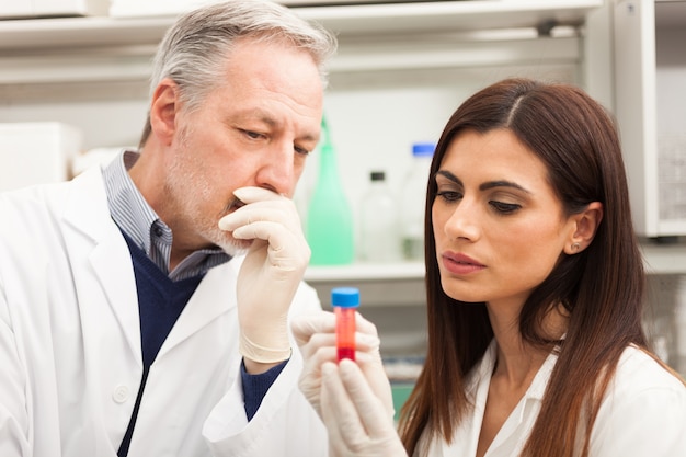 Doutores, examinando, sangue, amostra, laboratório