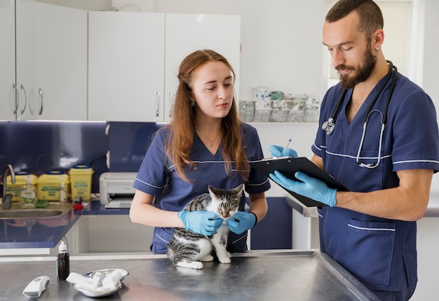 Doutores médios agradáveis que verificam a saúde do gato