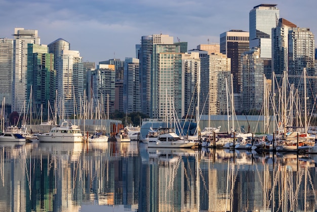 Downtown vancouver columbia britânica canadá edifícios modernos da cidade em stanley park