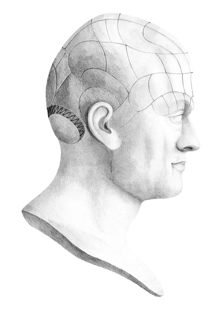 Dr. Spurzheims png divisiones de los órganos de la frenología marcadas externamente en un fondo transparente Remastered por rawpixel
