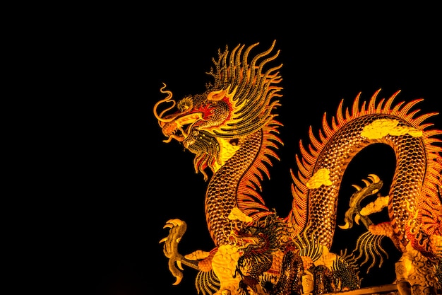 Foto dragão de ouro exótico no fundo do céu negro