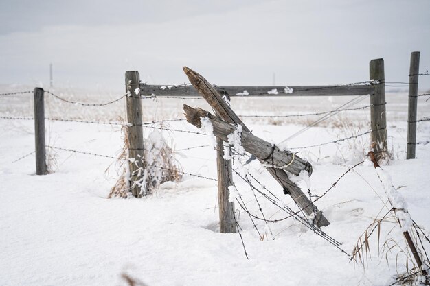 Drahtzaun und Pfosten um ein Feld im Winter