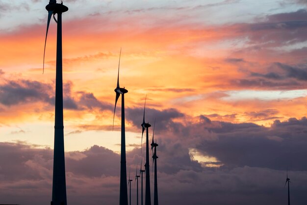 dramática puesta de sol púrpura y turbinas eólicas