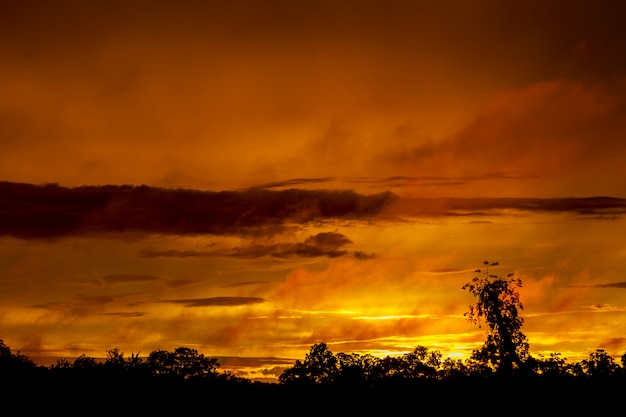 Dramático cielo rosa puesta de sol