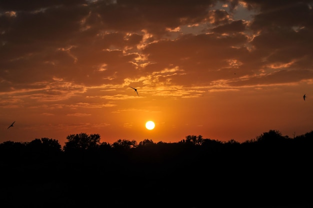 Dramático nascer do sol no Parque Nacional Kruger, África do Sul