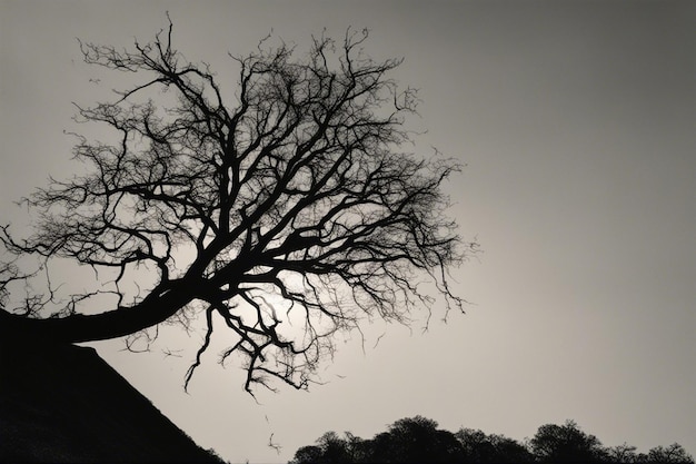 Un dramático paisaje de árboles en blanco y negro