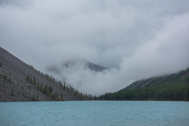 Dramático paisaje de meditación con ondas en el gran lago de montaña azul contra siluetas de abetos puntiagudos en nubes bajas vista tranquila al lago alpino cian y picos de abetos en un cielo gris nublado bajo