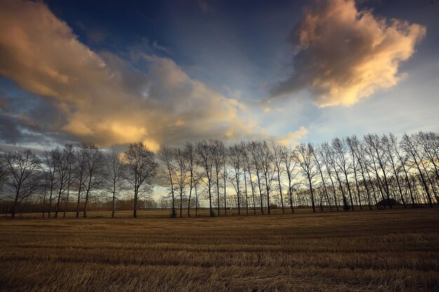 dramático paisaje otoñal campo cielo concepto abstracto tristeza