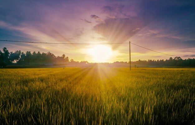 Dramático pôr do sol no campo com raio de sol