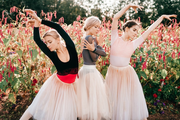 Dramático retrato de tres elegantes bailarinas posando sobre flores de color rosa.