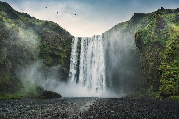 Dramatisch vom mächtigen Skogafoss-Wasserfall mit dem Skoga-Fluss, der im Sommer in Island von der Klippe fließt