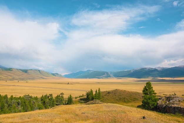 Dramatische Aussicht vom Wald bis zum Hochgebirge im Sonnenlicht bei Regen bei wechselhaftem Wetter Bunte Landschaft mit grünem Wald und sonnenbeschienener Steppe gegen große Berge unter bewölktem Himmel bei Regen