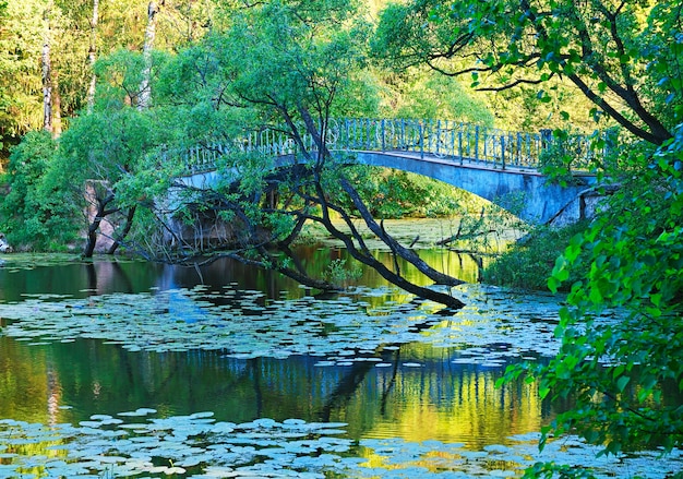 Dramatische Brücke am Sommerparkhintergrund