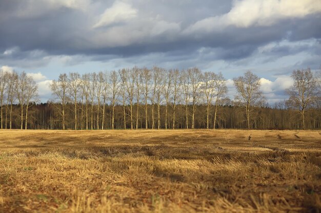 dramatische herbstlandschaft feld himmel abstraktes konzept traurigkeit