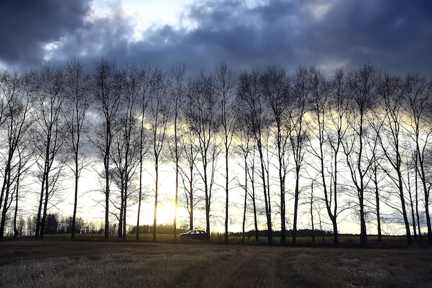 dramatische herbstlandschaft feld himmel abstraktes konzept traurigkeit