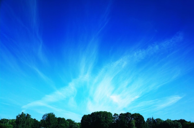 Dramatische Wolken über Sommerwald im Park