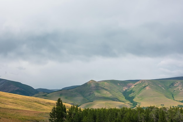 Dramatischer Blick auf Nadelwald und Hochgebirge im Sonnenlicht bei wechselhaftem Wetter Bunte Berglandschaft mit grünem Wald und sonnenbeschienenen Hügeln vor großen Bergen unter bewölktem Himmel