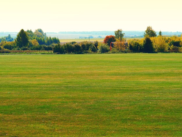 Dramatischer Herbstwiesenlandschaftshintergrund