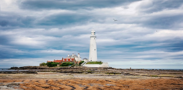 Dramatischer Himmel über St. Mary's Lighthouse. Ebbe und Möwe. Sommer Seelandschaft. Whitley Bay, England. Vereinigtes Königreich