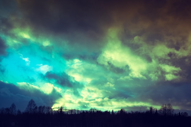 Dramatischer Himmel über Wald am Abend