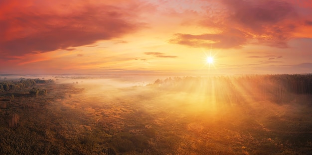 Dramatischer nebliger Morgen im Wald bei Sonnenaufgang