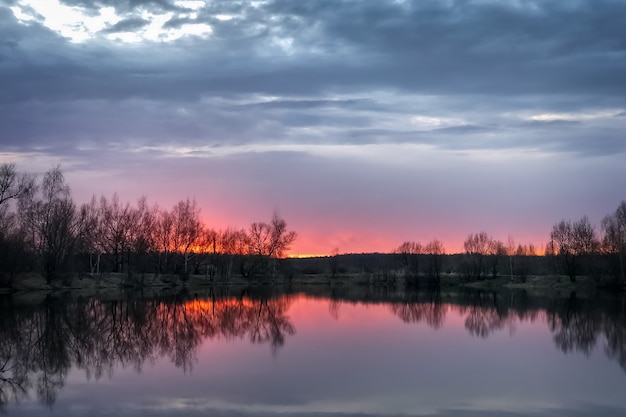 Dramatischer rosa Sonnenuntergang am Waldsee mit kahlen Bäumen Silhouette am Horizont