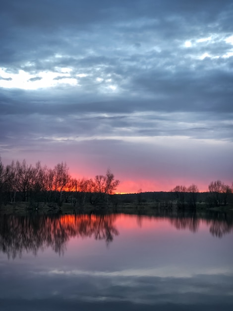 Dramatischer rosa Sonnenuntergang am Waldsee mit kahlen Bäumen Silhouette am Horizont