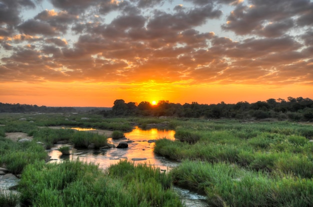 Dramatischer Sonnenaufgang im Krüger Nationalpark Südafrika