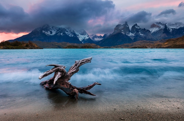 Dramatischer Sonnenuntergang über Los Cuernos, See Pehoe und Wald. Nationalpark Torres del Paine, Chile. Südamerika