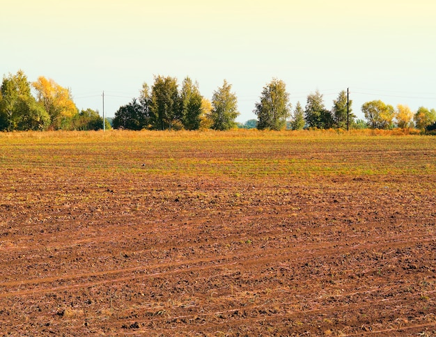 Dramatisches Farmfeld bei Sonnenuntergang Landschaftskulisse