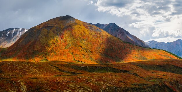 Dramatisches goldenes Licht und Schatten auf dem Felsen in der Herbststeppe. Hochplateau von Yeshtykol. Altai-Gebirge, Panoramablick.