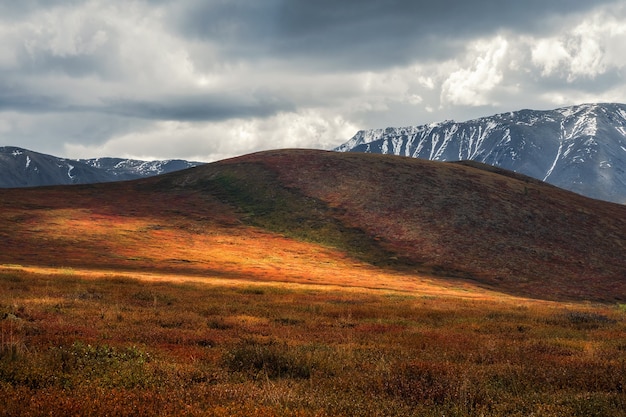 Dramatisches goldenes Licht und Schatten auf dem Felsen in der Herbststeppe. Hochplateau von Yeshtykol. Altai-Gebirge, Russland. Sibirien.