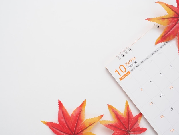 Draufsicht Ahornblatt auf dem weißen Herbstkonzept des Kalenderkopienraums
