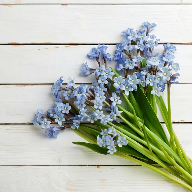 Draufsicht auf blaue Scilla-Blüten auf weißem Holzhintergrund